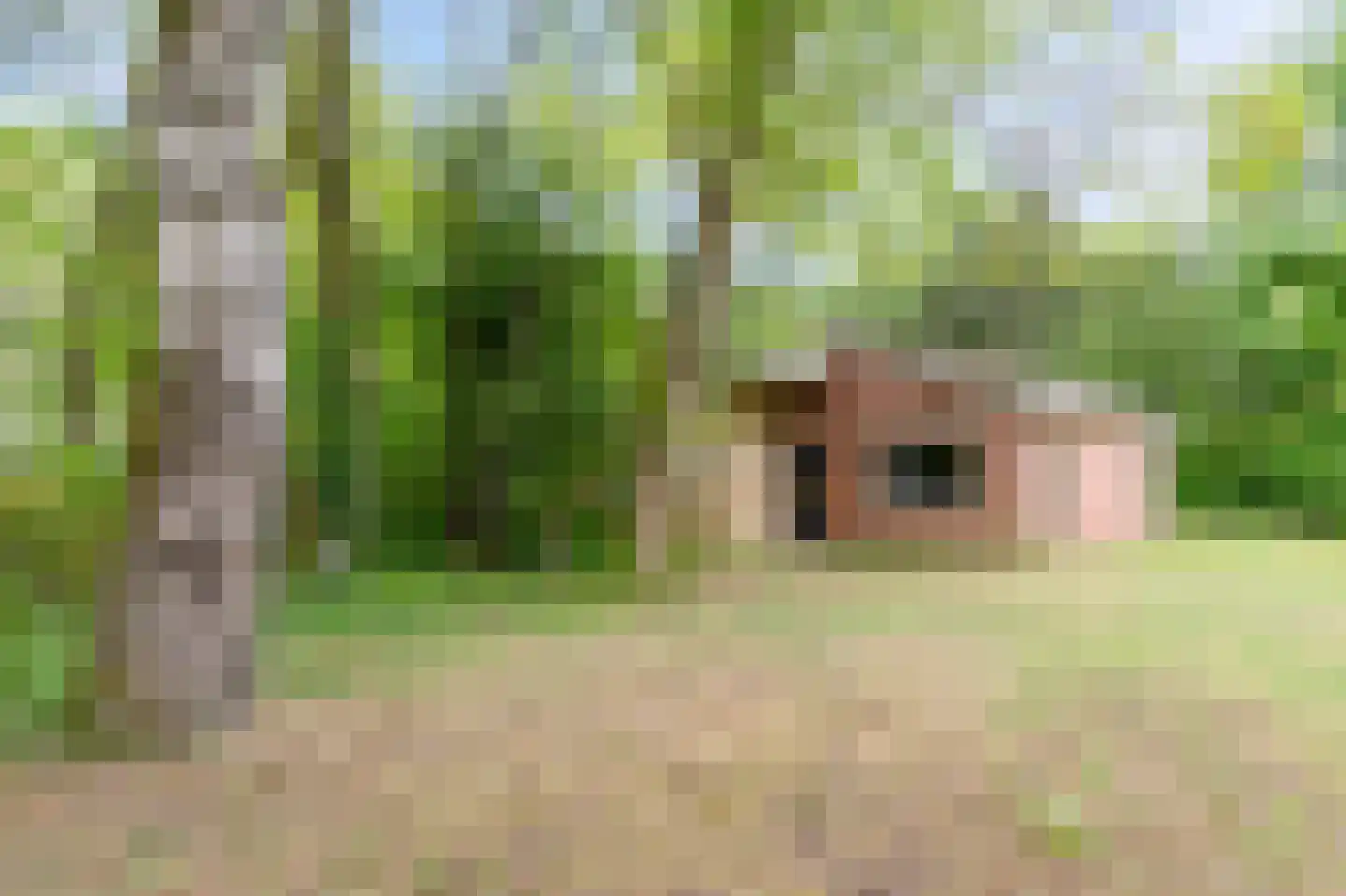 Kerkendelweg 30 110 Kootwijk thumbnail 26
