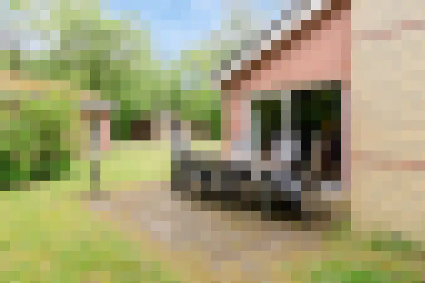 Kerkendelweg 30 110 Kootwijk thumbnail 28