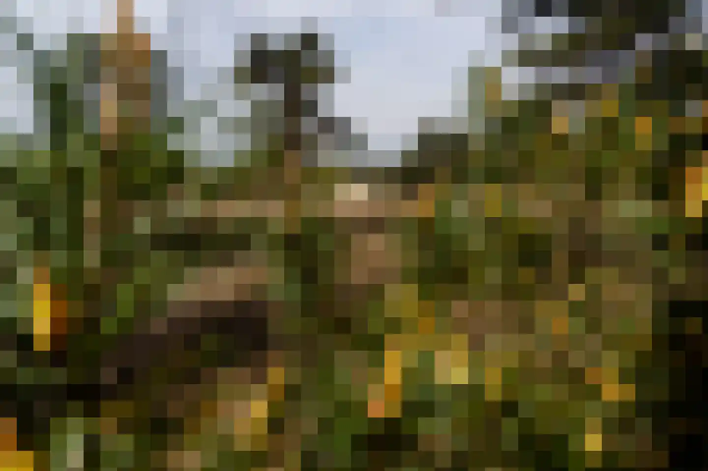 Kerkendelweg 30 110 Kootwijk thumbnail 35