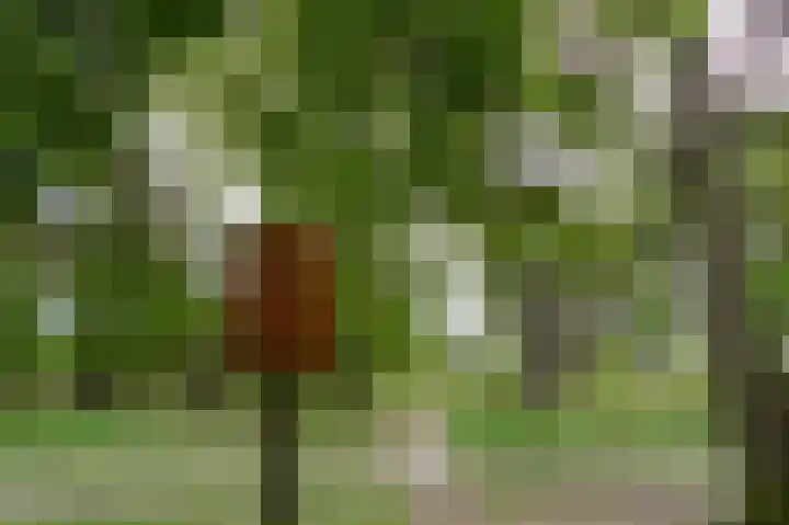 Kerkendelweg 30 32 Kootwijk thumbnail 25