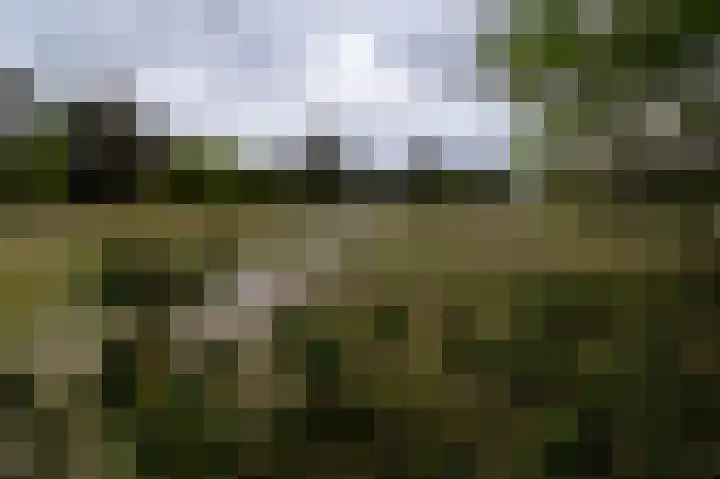 Kerkendelweg 30 32 Kootwijk thumbnail 27