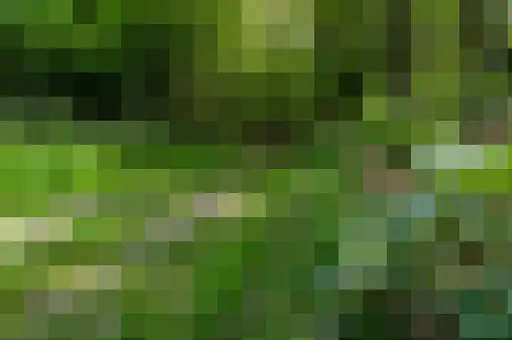 Kerkendelweg 30 32 Kootwijk thumbnail 31