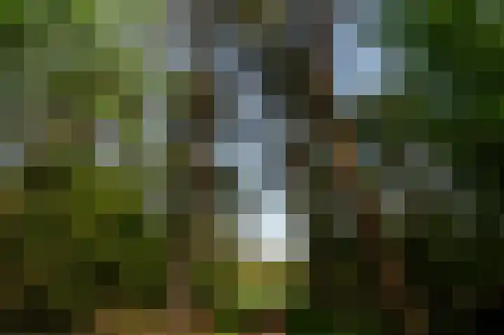 Kerkendelweg 30 32 Kootwijk thumbnail 34