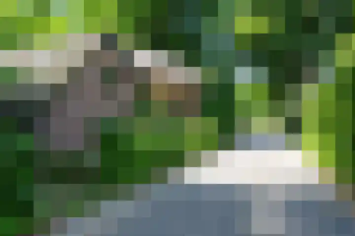 Kerkendelweg 30 32 Kootwijk thumbnail 40