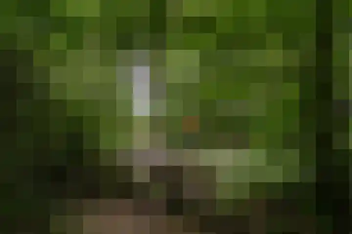 Kerkendelweg 30 39 Kootwijk thumbnail 22