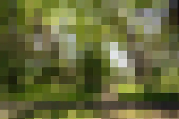 Kerkendelweg 30 39 Kootwijk thumbnail 23
