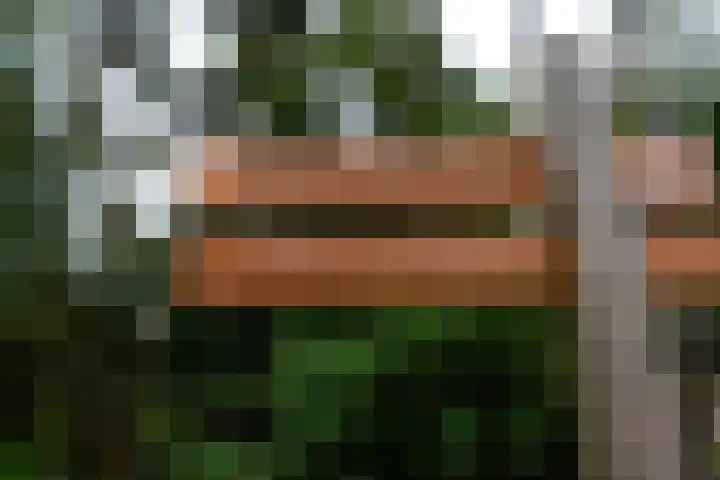 Kerkendelweg 30 39 Kootwijk thumbnail 27