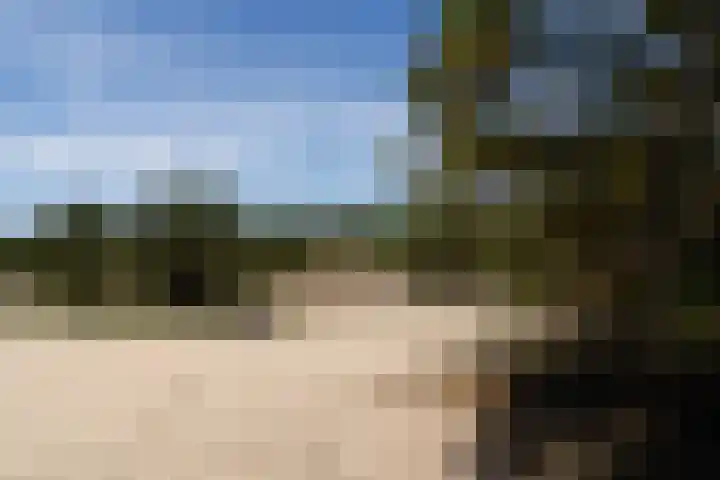 Kerkendelweg 30 39 Kootwijk thumbnail 33