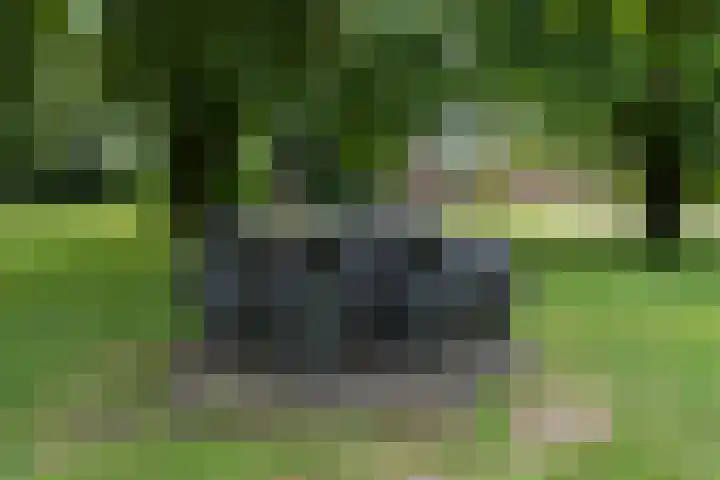 Kerkendelweg 30 39 Kootwijk thumbnail 38