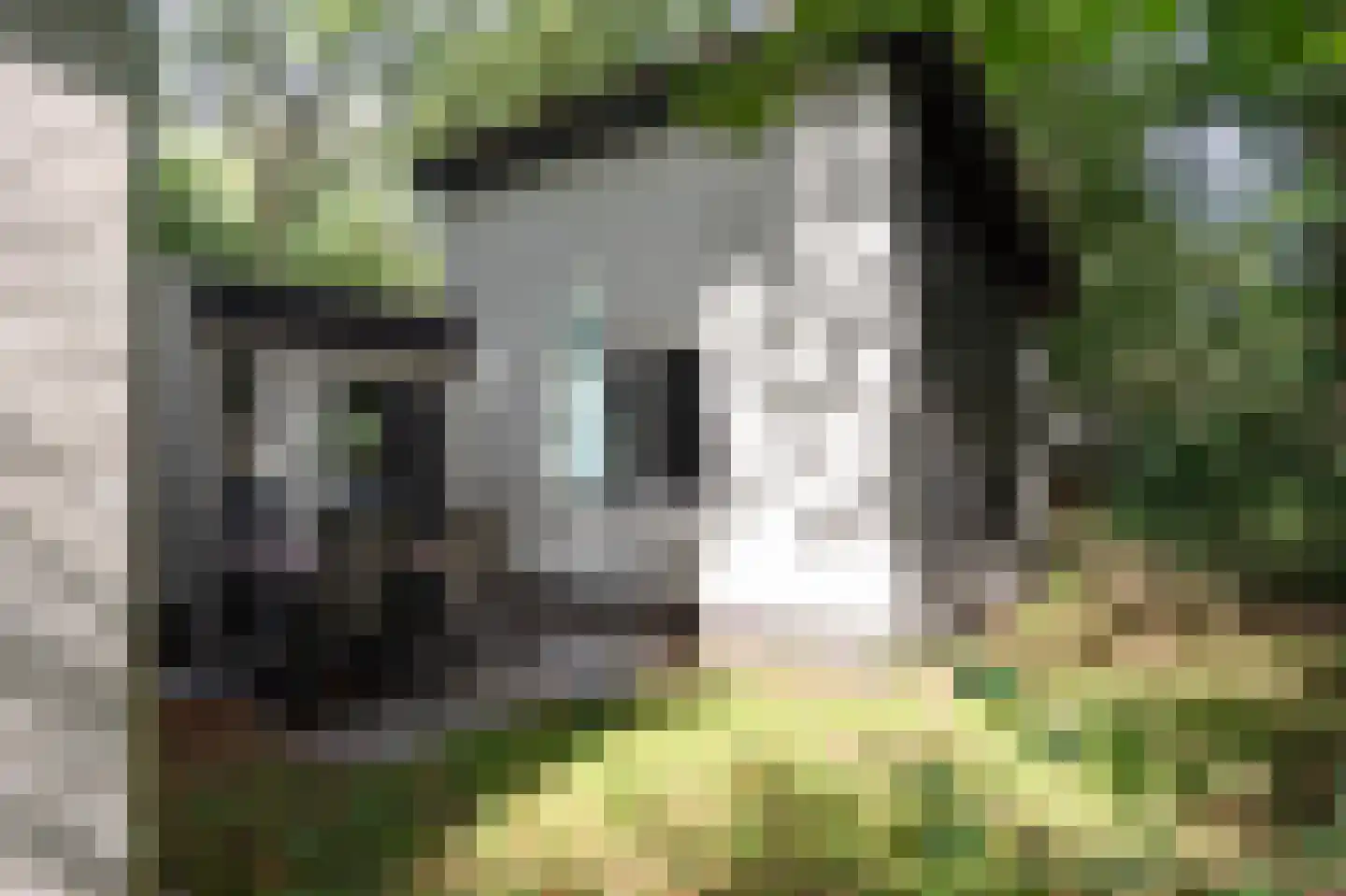 Kerkendelweg 30 59 Kootwijk thumbnail 21