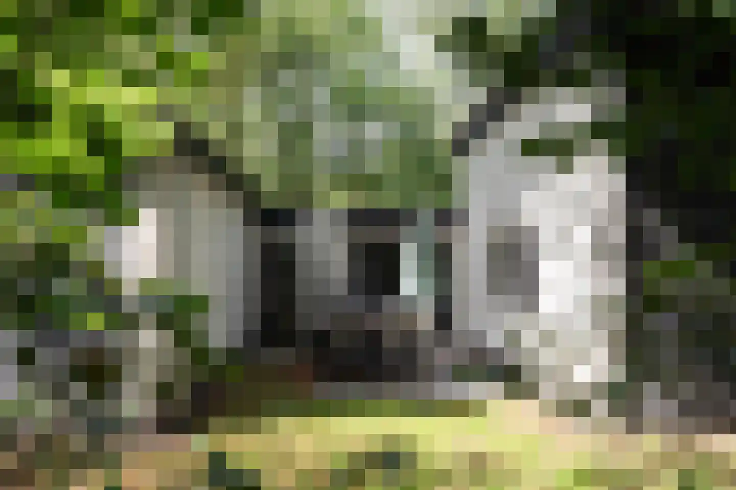 Kerkendelweg 30 59 Kootwijk thumbnail 24