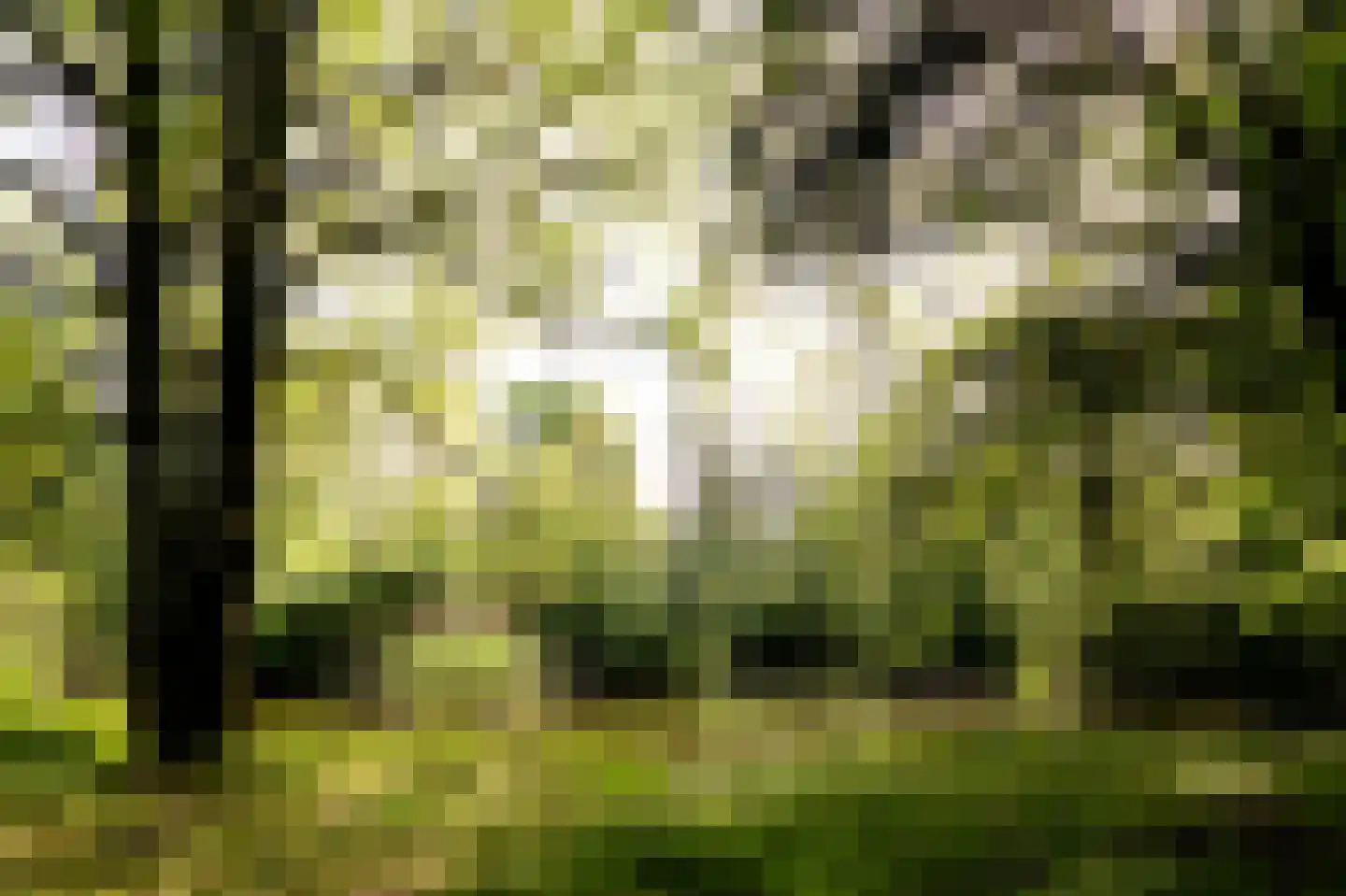 Kerkendelweg 30 59 Kootwijk thumbnail 34