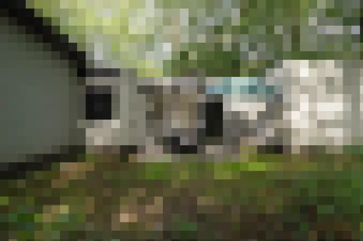 Kerkendelweg 30 60 Kootwijk thumbnail 21