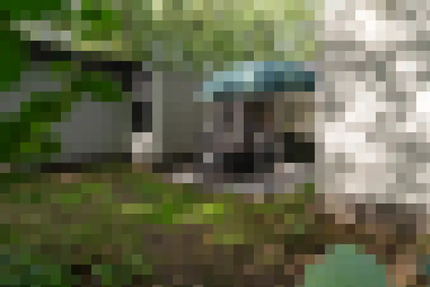 Kerkendelweg 30 60 Kootwijk thumbnail 22