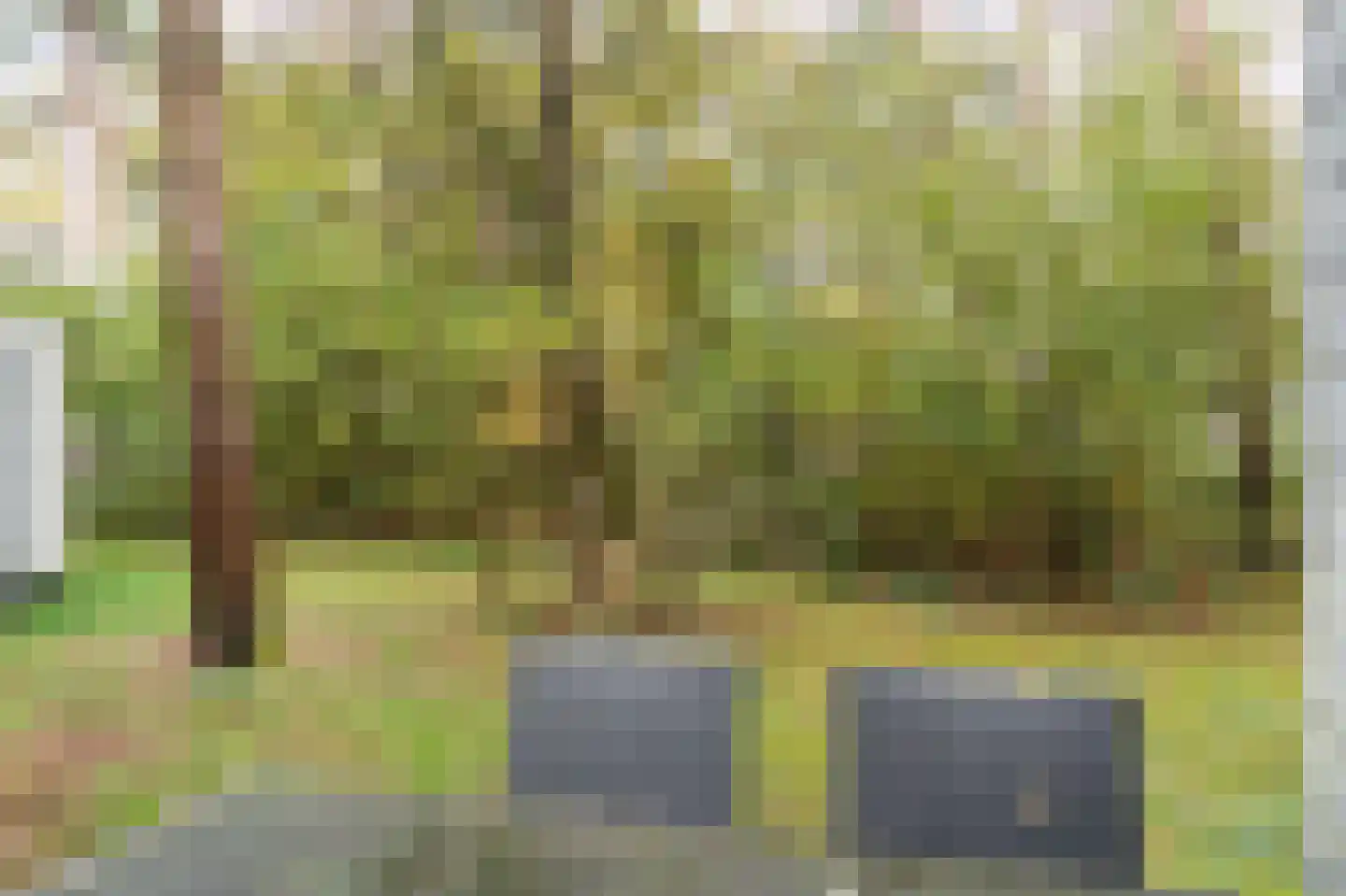 Kerkendelweg 30 67 Kootwijk thumbnail 20