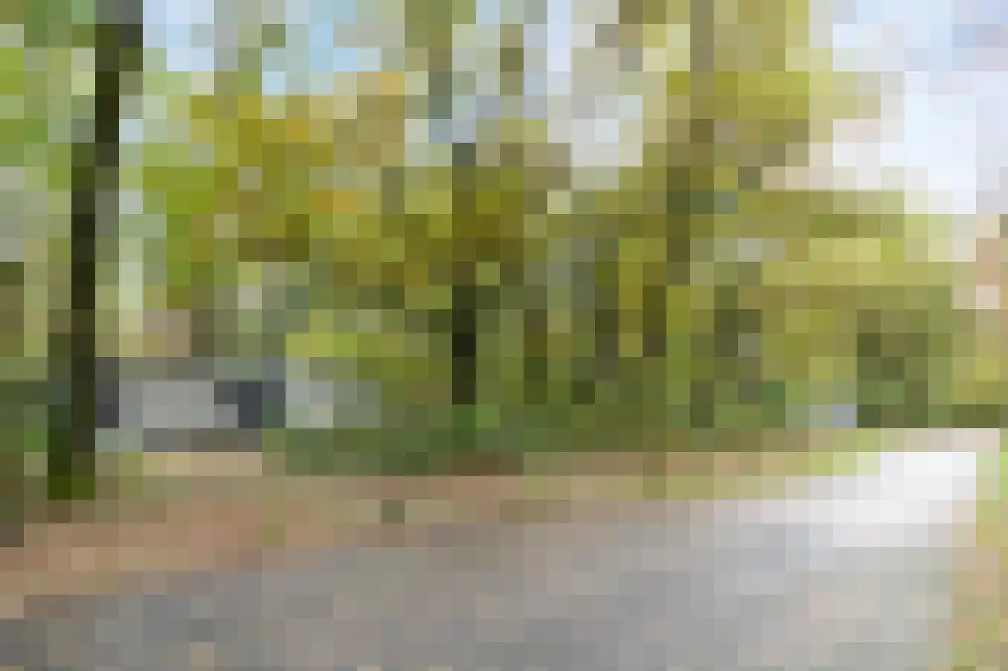 Kerkendelweg 30 67 Kootwijk thumbnail 23