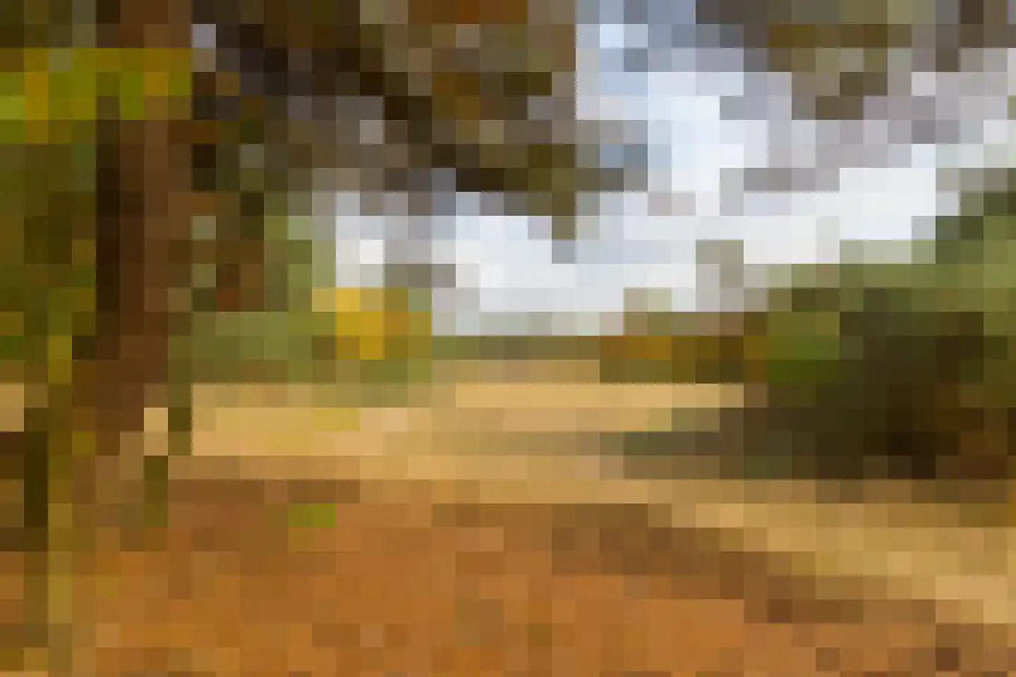 Kerkendelweg 30 67 Kootwijk thumbnail 27