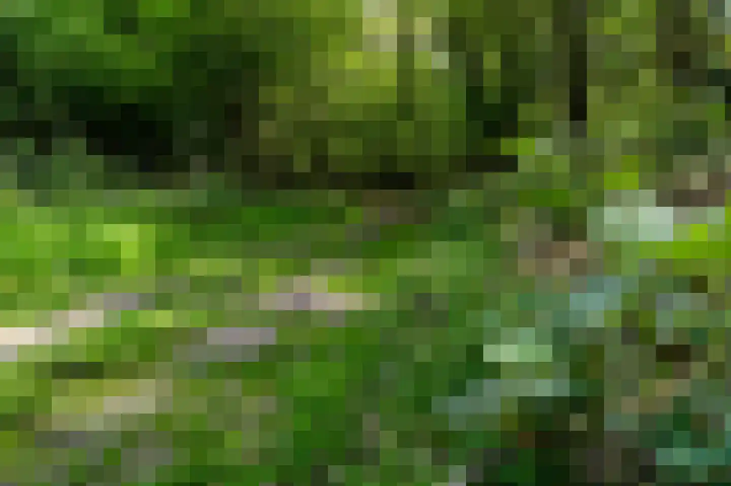 Kerkendelweg 30 67 Kootwijk thumbnail 31