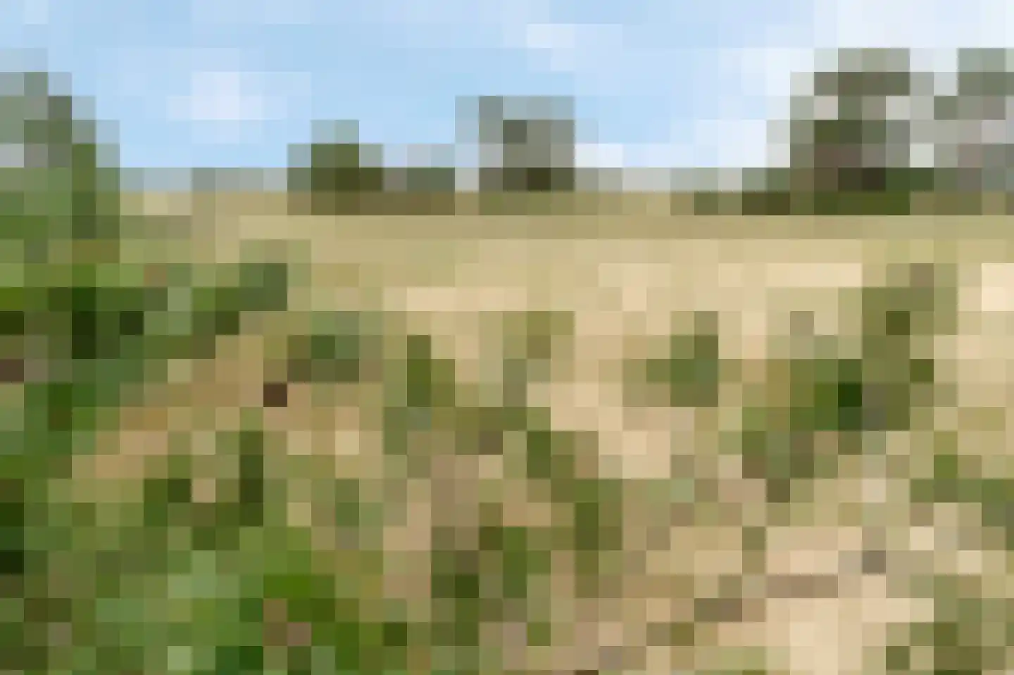 Kerkendelweg 30 67 Kootwijk thumbnail 34