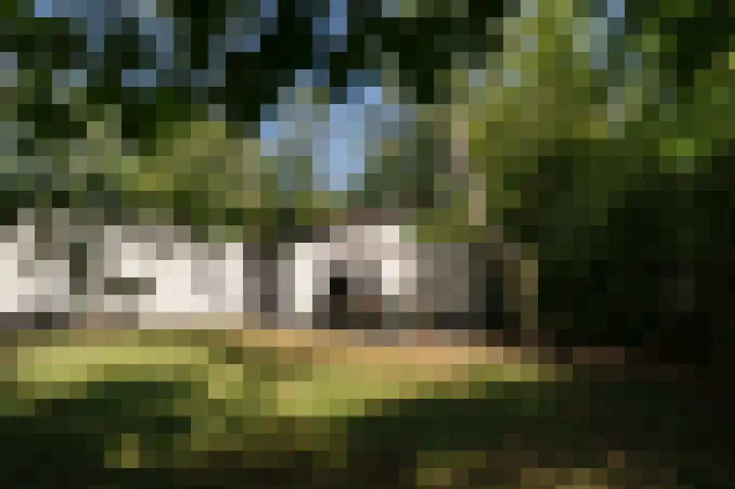 Kerkendelweg 30 81 Kootwijk thumbnail 28