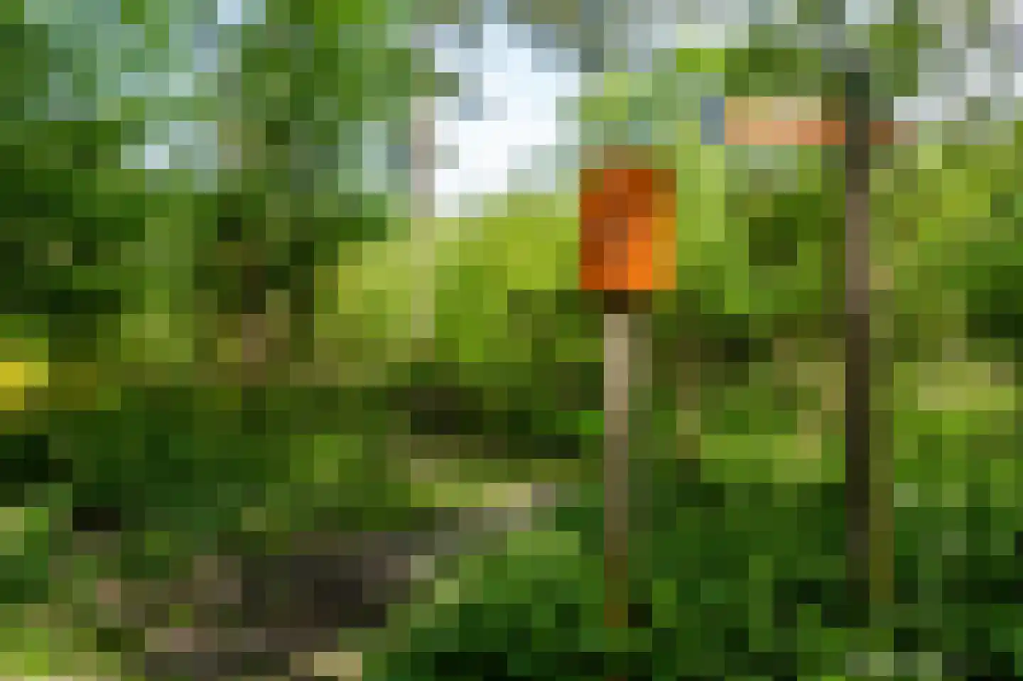 Kerkendelweg 30 81 Kootwijk thumbnail 36