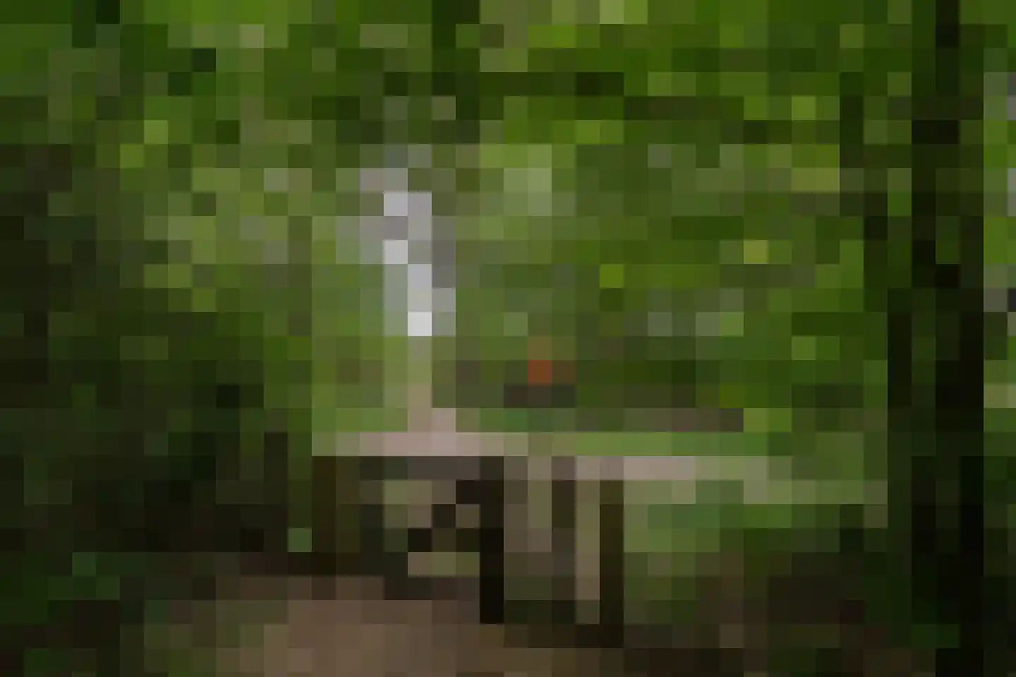 Kerkendelweg 30 81 Kootwijk thumbnail 37