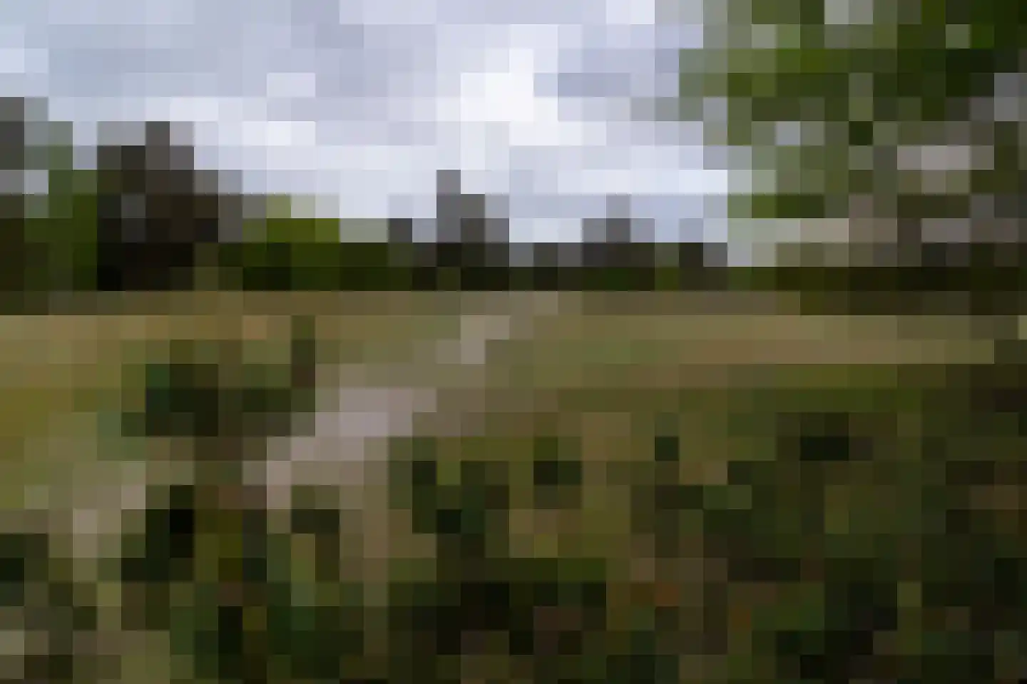 Kerkendelweg 30 81 Kootwijk thumbnail 39