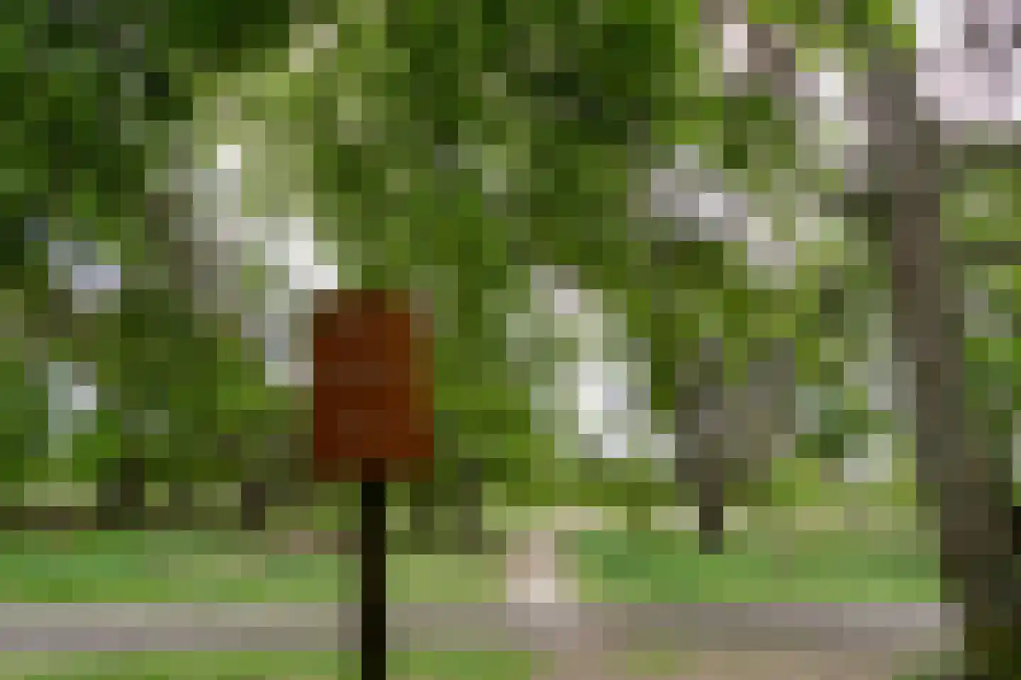 Kerkendelweg 30 81 Kootwijk thumbnail 41