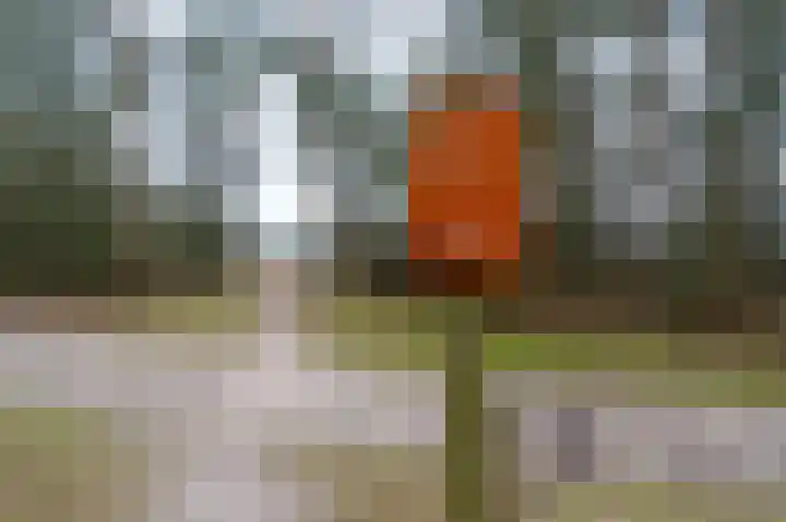 Kerkendelweg 30 83 Kootwijk thumbnail 29