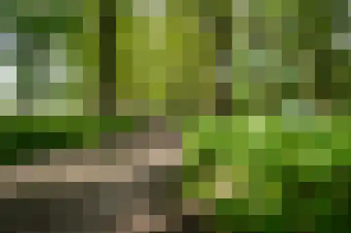 Kerkendelweg 30 83 Kootwijk thumbnail 33