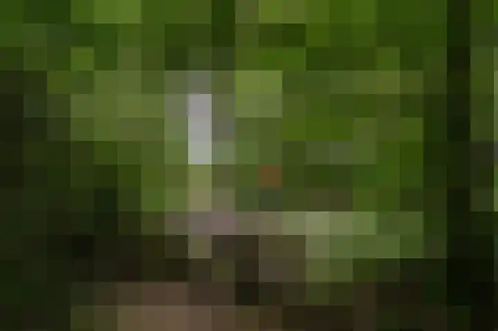 Kerkendelweg 30 83 Kootwijk thumbnail 34