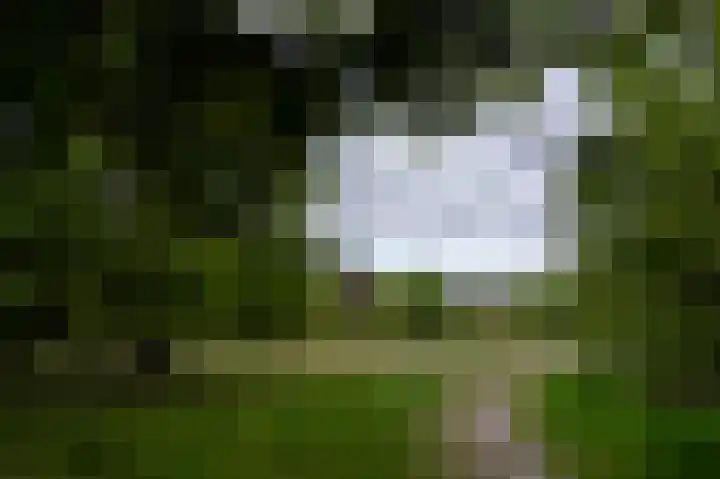 Kerkendelweg 30 83 Kootwijk thumbnail 35