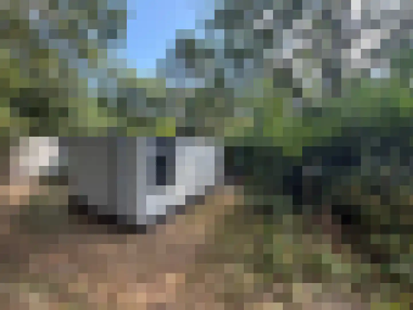 Kerkendelweg 30 93 Kootwijk thumbnail 15