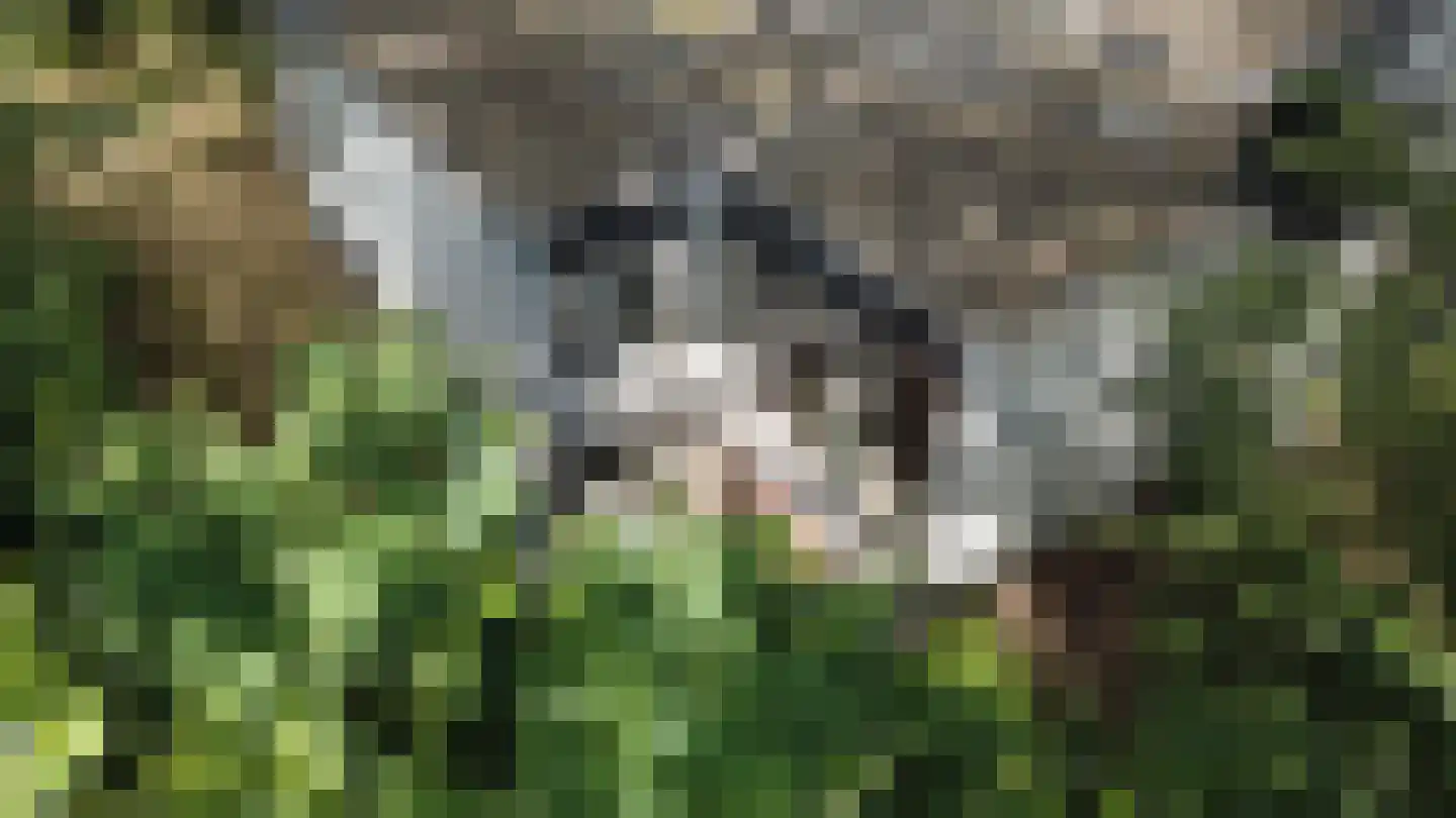 Kerkendelweg 30 93 Kootwijk thumbnail 4
