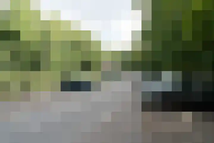 Kerkendelweg 30 98 Kootwijk thumbnail 29