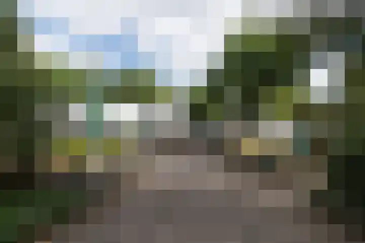 Kerkendelweg 30 98 Kootwijk thumbnail 31