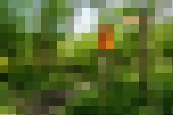 Kerkendelweg 30 98 Kootwijk thumbnail 32