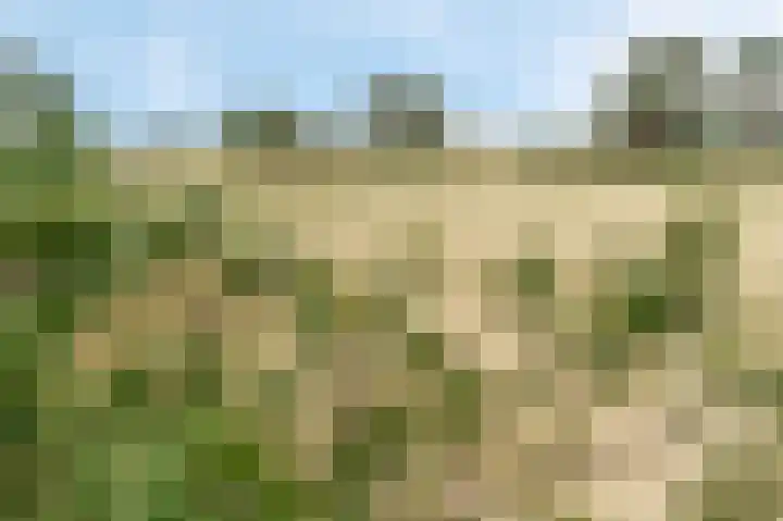 Kerkendelweg 30 98 Kootwijk thumbnail 35