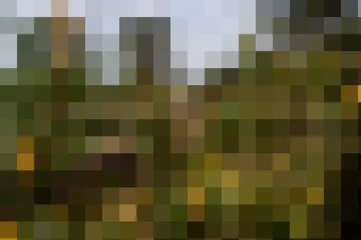 Kerkendelweg 30 98 Kootwijk thumbnail 36