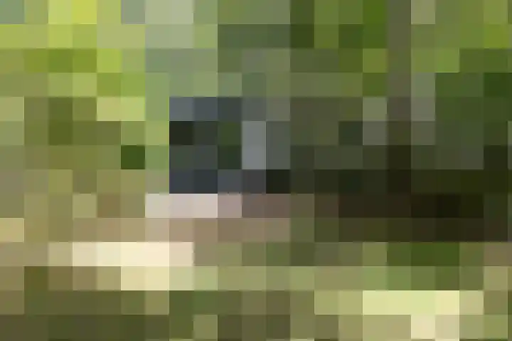 Kerkendelweg 30 98 Kootwijk thumbnail 4