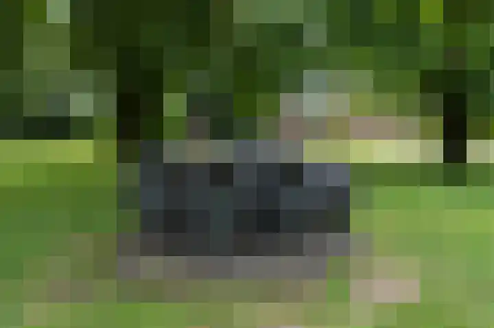 Kerkendelweg 30 98 Kootwijk thumbnail 45