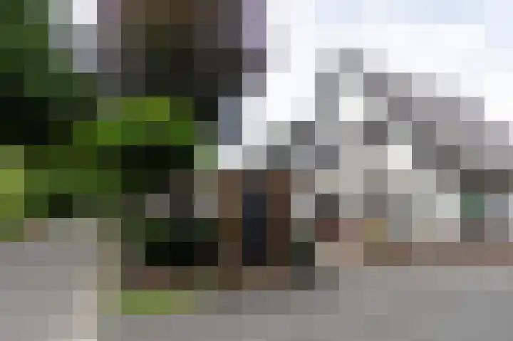 Kerkendelweg 30 98 Kootwijk thumbnail 47