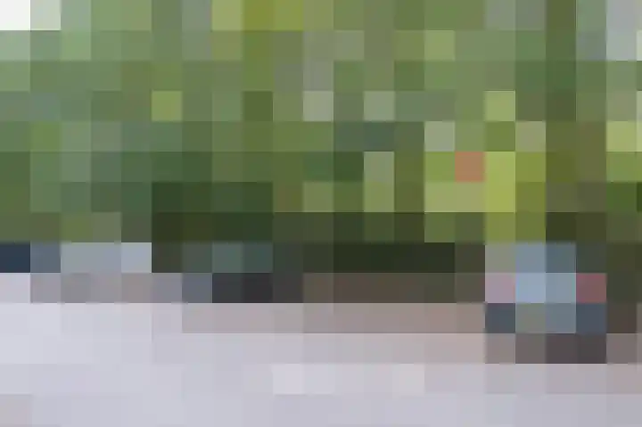 Kerkendelweg 30 98 Kootwijk thumbnail 9
