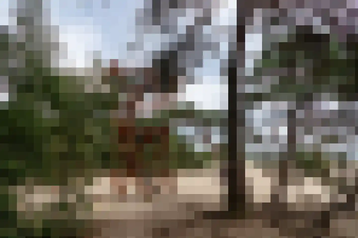 Kerkendelweg 49 100 Kootwijk thumbnail 43