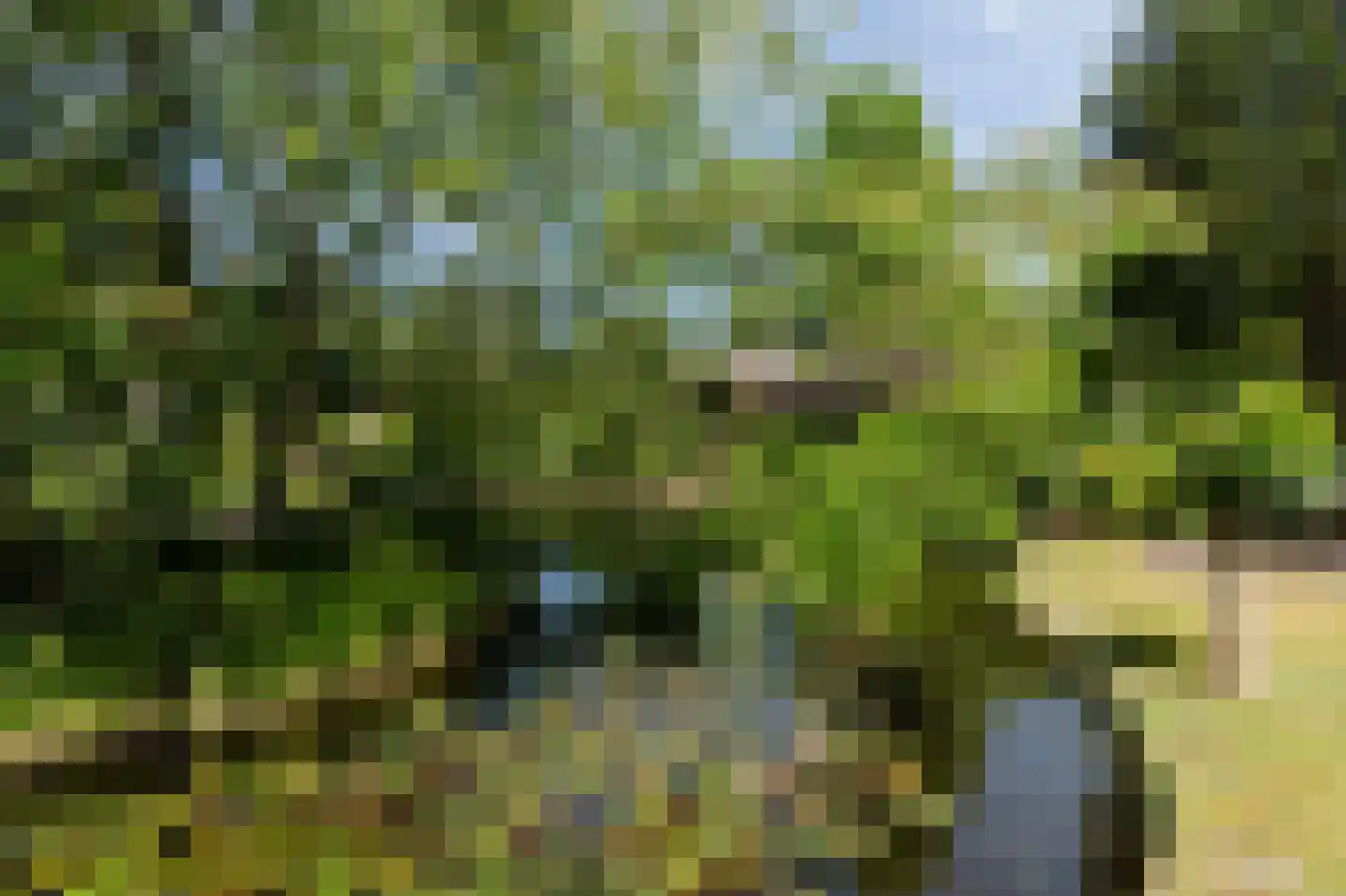 Kerkendelweg 49 100 Kootwijk thumbnail 8