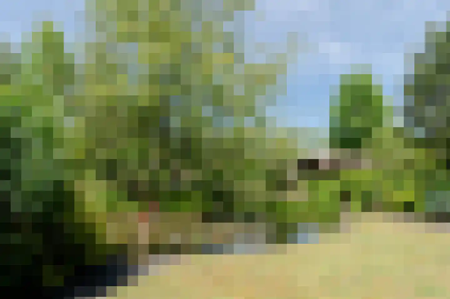 Kerkendelweg 49 100 Kootwijk thumbnail 9
