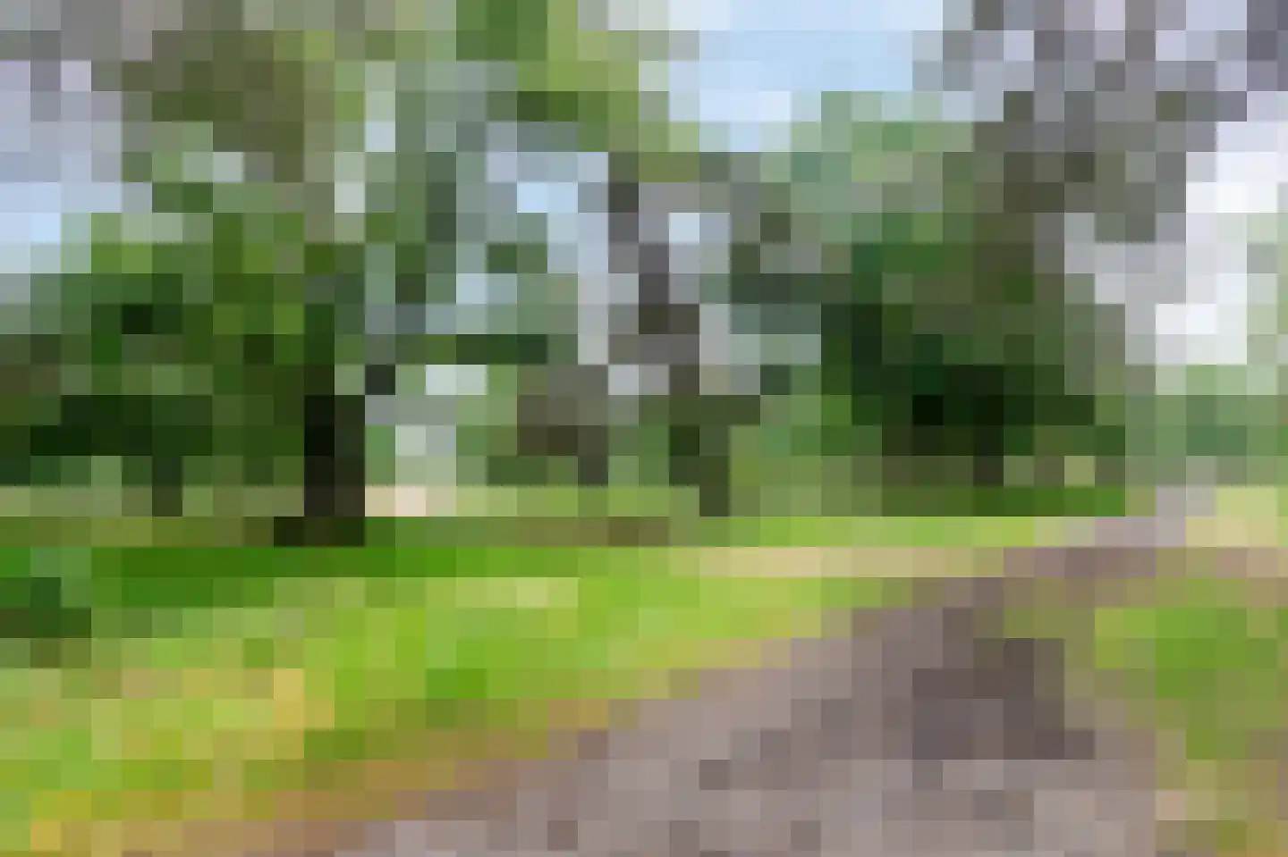 Kerkendelweg 49 27 Kootwijk thumbnail 30