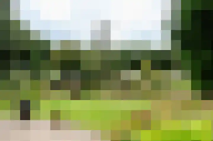 Kerkendelweg 49 60 Kootwijk thumbnail 13