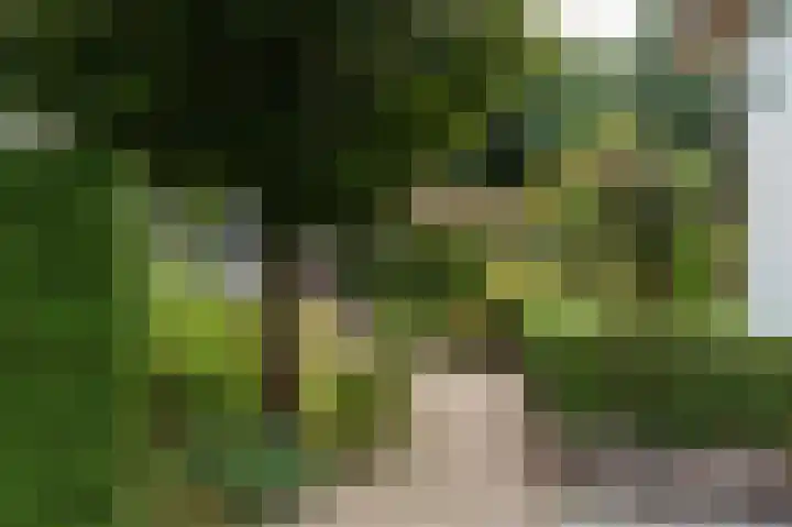 Kerkendelweg 49 60 Kootwijk thumbnail 14