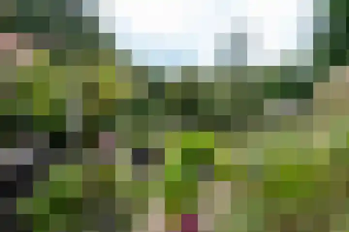 Kerkendelweg 49 60 Kootwijk thumbnail 16